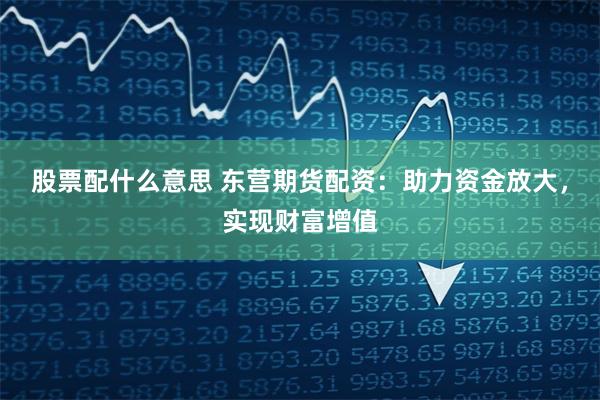 股票配什么意思 东营期货配资：助力资金放大，实现财富增值